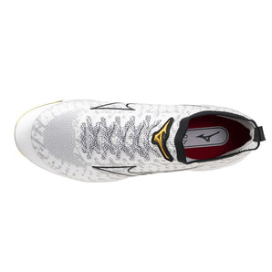 Men's MIZUNO Pro Molded Baseball Cleat